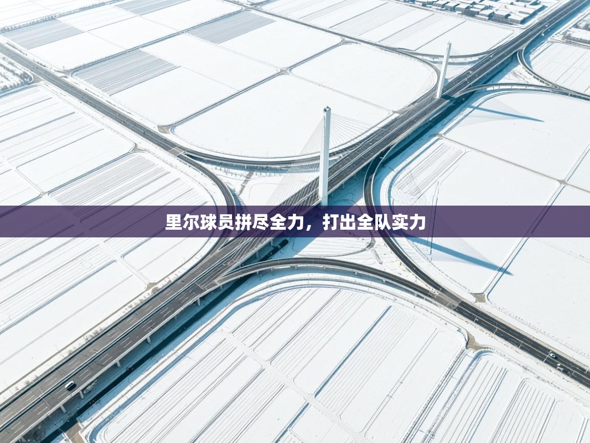 里尔球员拼尽全力,打出全队实力 第1张